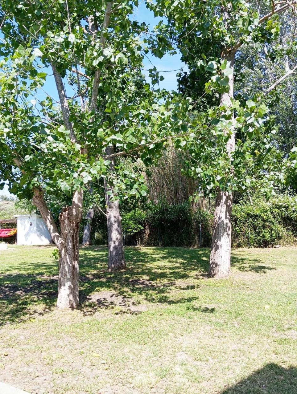 Villa Elena Ormos Panagias Exteriér fotografie